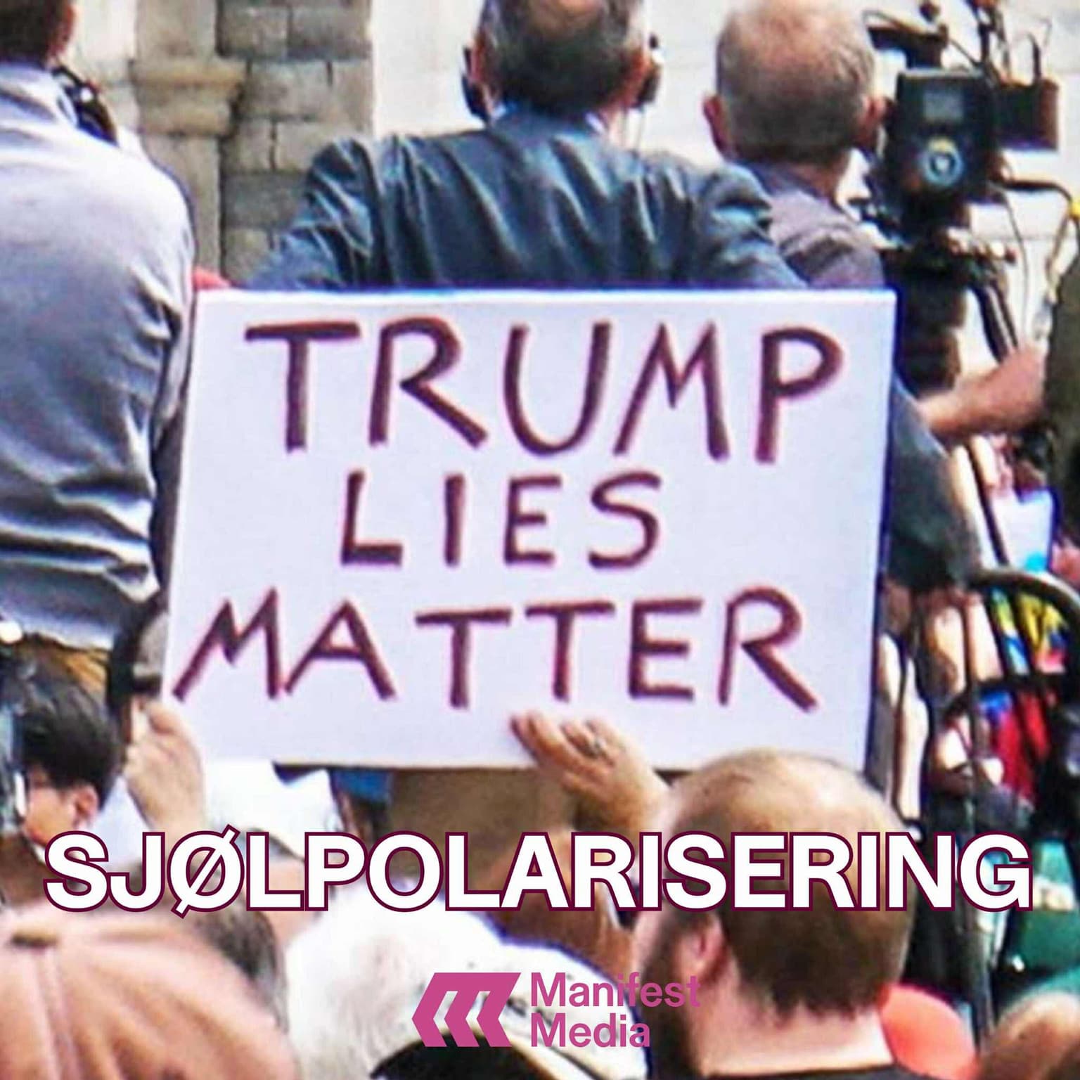 SJØLPOLARISERING: Weapons of Mass Deception artwork