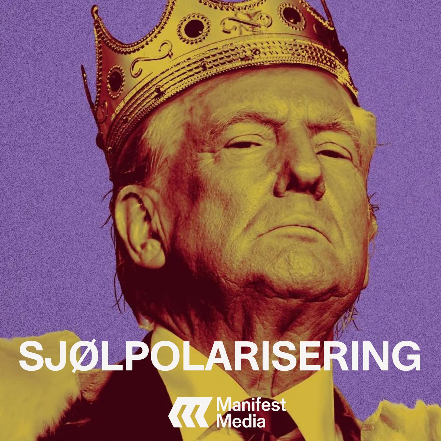 SJØLPOLARISERING: Argumentene FOR et Trump-diktatur artwork