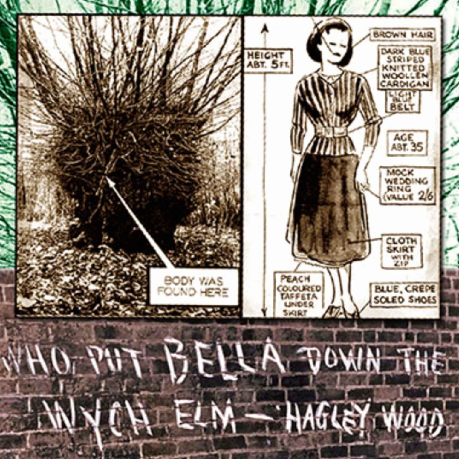 E18 | The Body in the Wych Elm artwork
