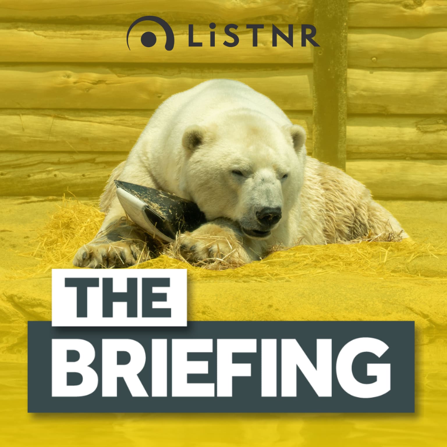 BONUS: Seaworld slammed for Polar Bear & Dolphin breeding programs artwork
