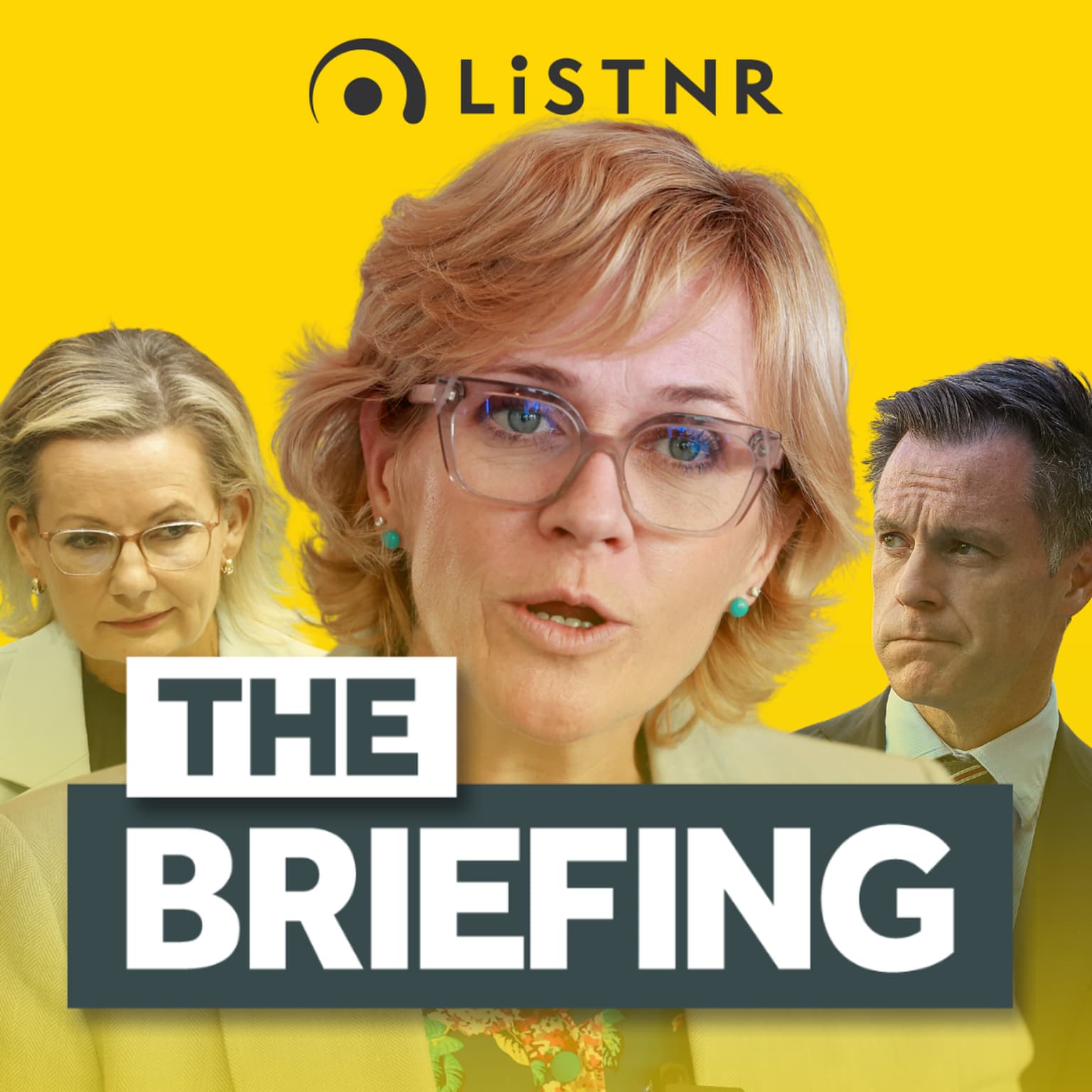 Zali Steggall’s message to Sussan Ley & Chris Minns + US Govt shutdown ends artwork