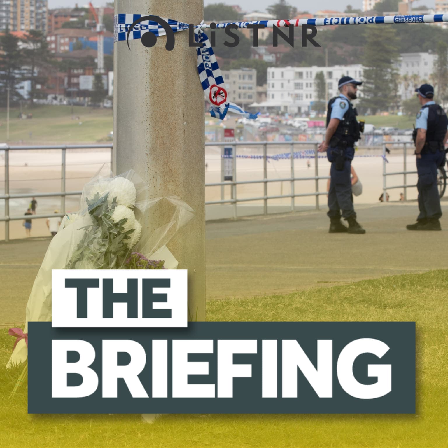 BONDI ATTACK: IS links, gun reform & ASIO probe artwork