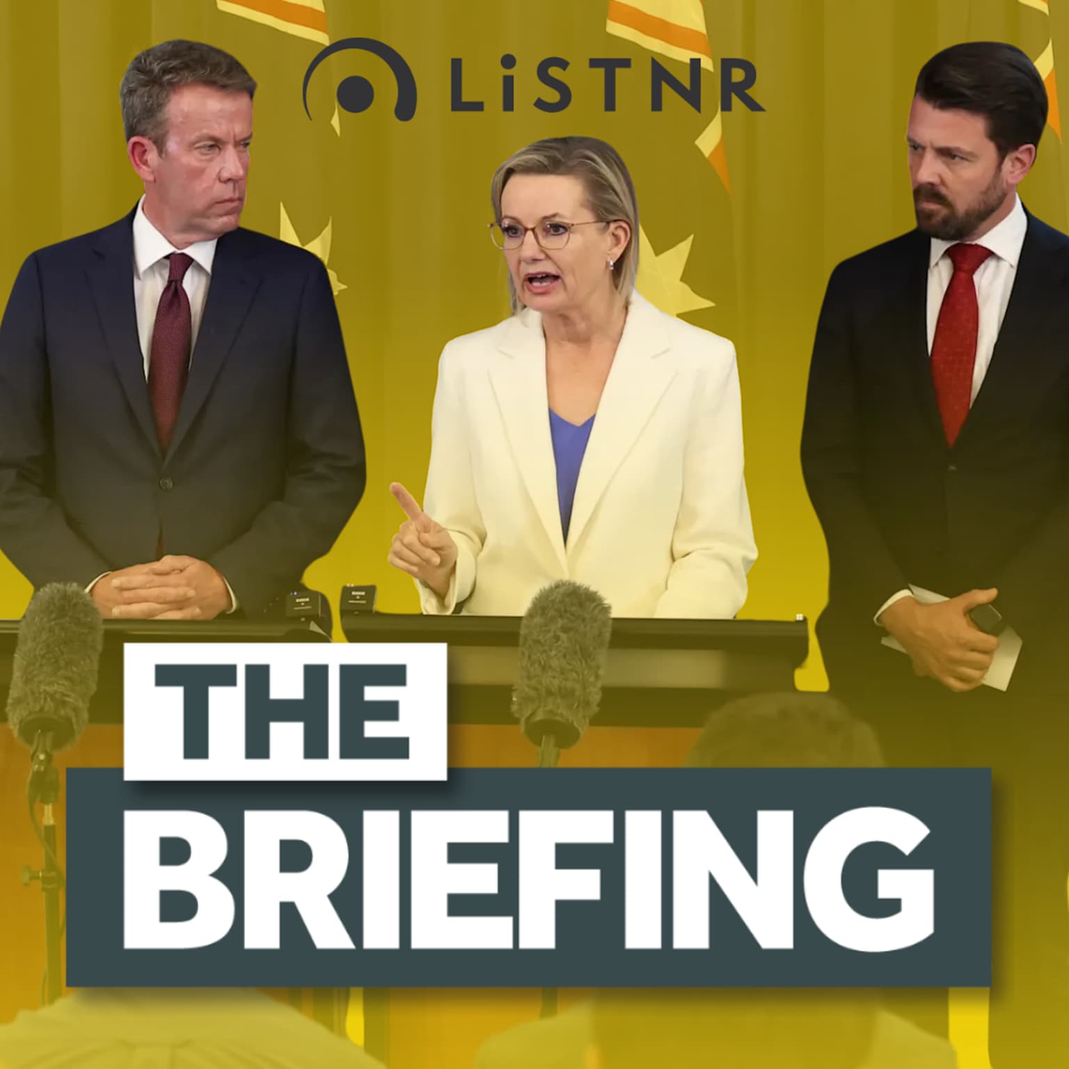 Sussan Ley’s position ‘untenable’ + Neo-Nazi granted bail artwork