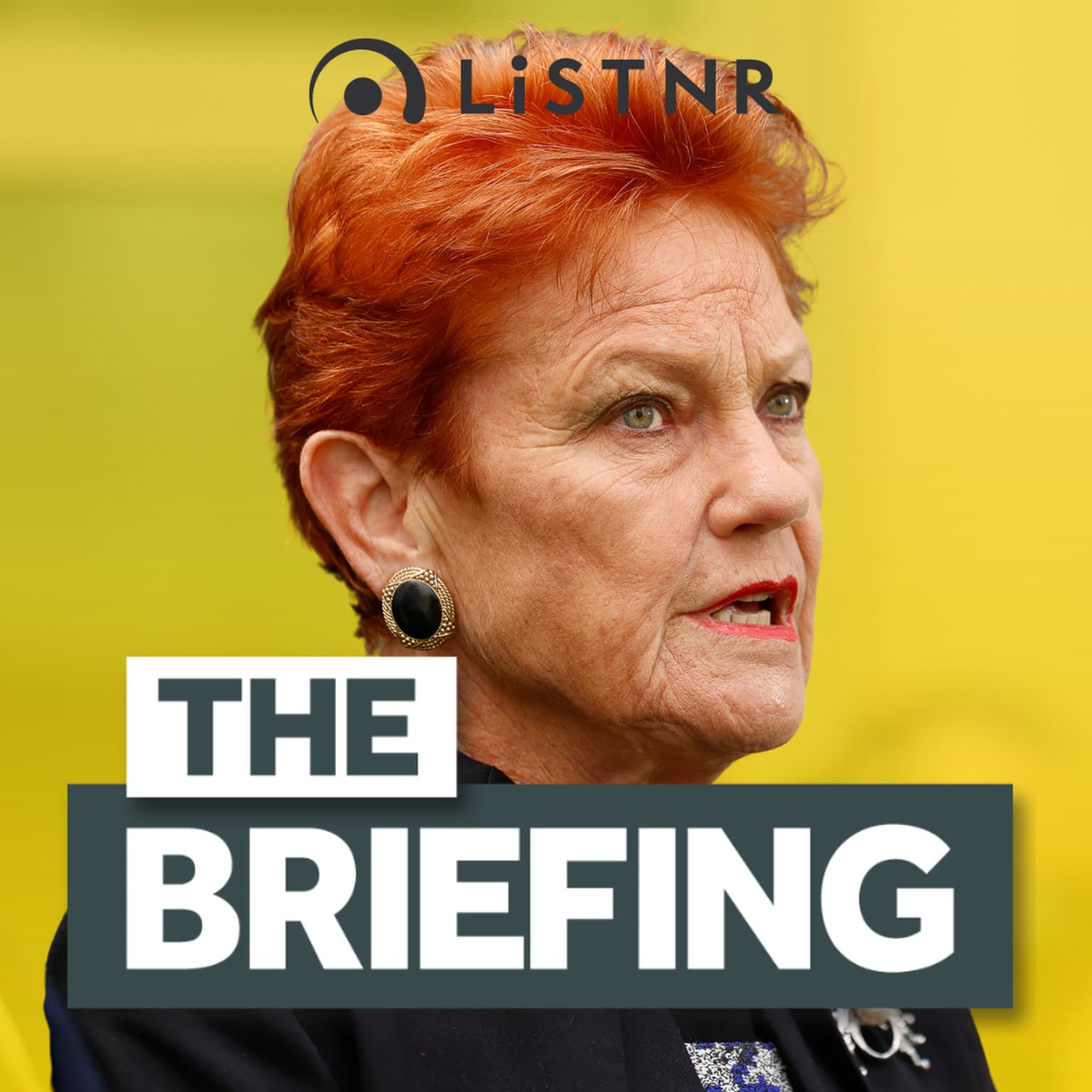 One Nation outpolls Labor + Australia's $2bn PFAS lawsuit explained artwork