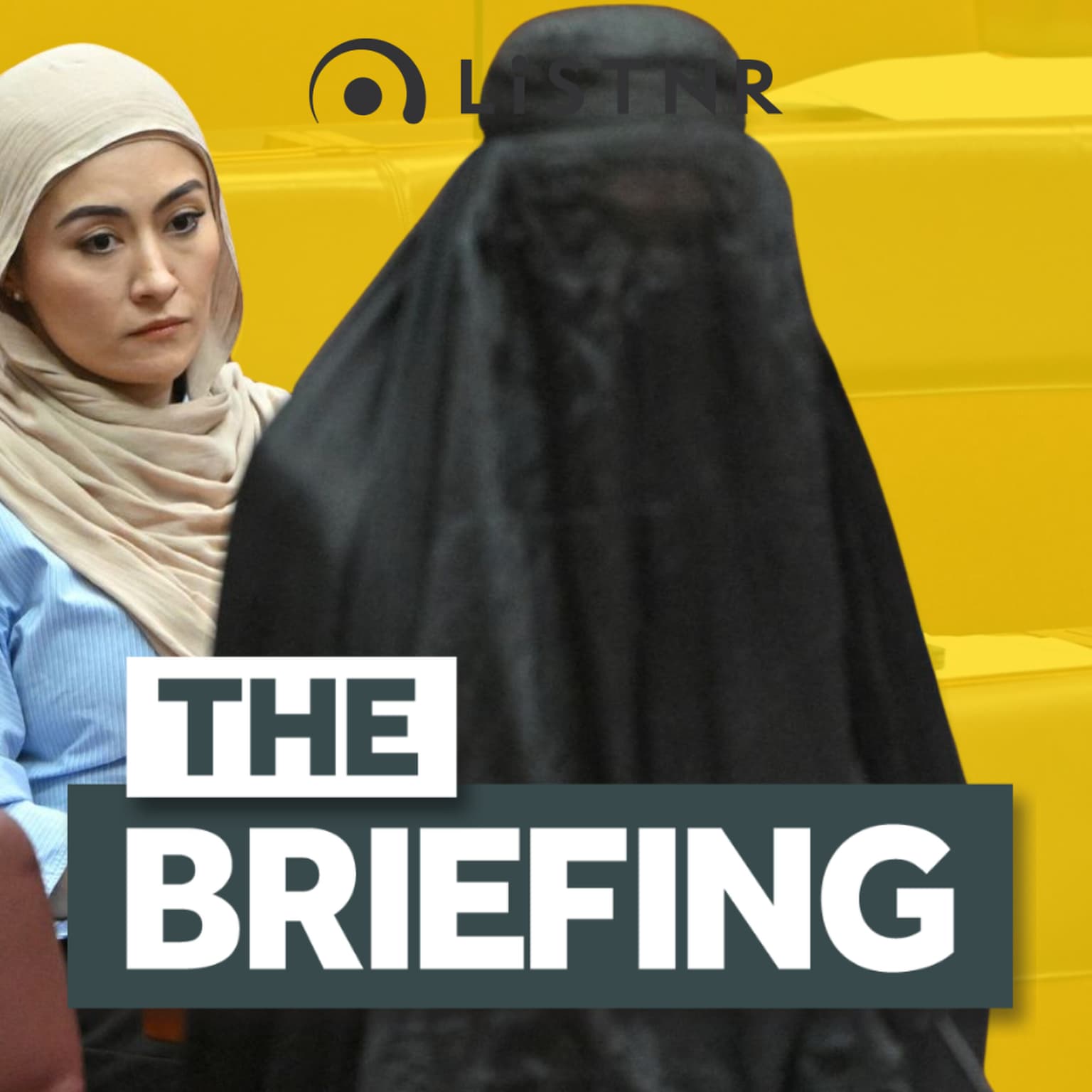 Pauline Hanson’s recycled burqa stunt + Why Menulog couldn’t deliver artwork