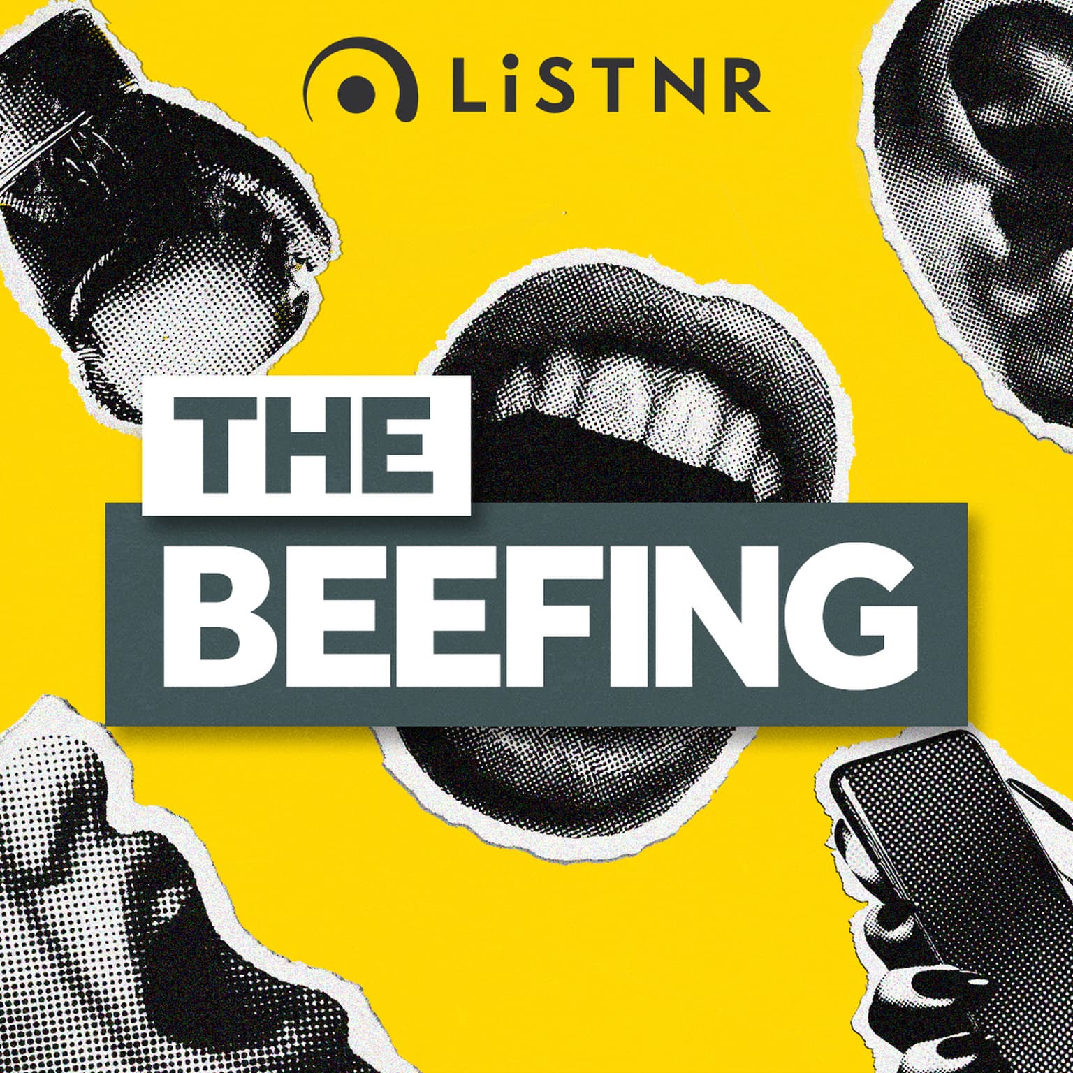 THE BEEFING: The Beckham family feud artwork