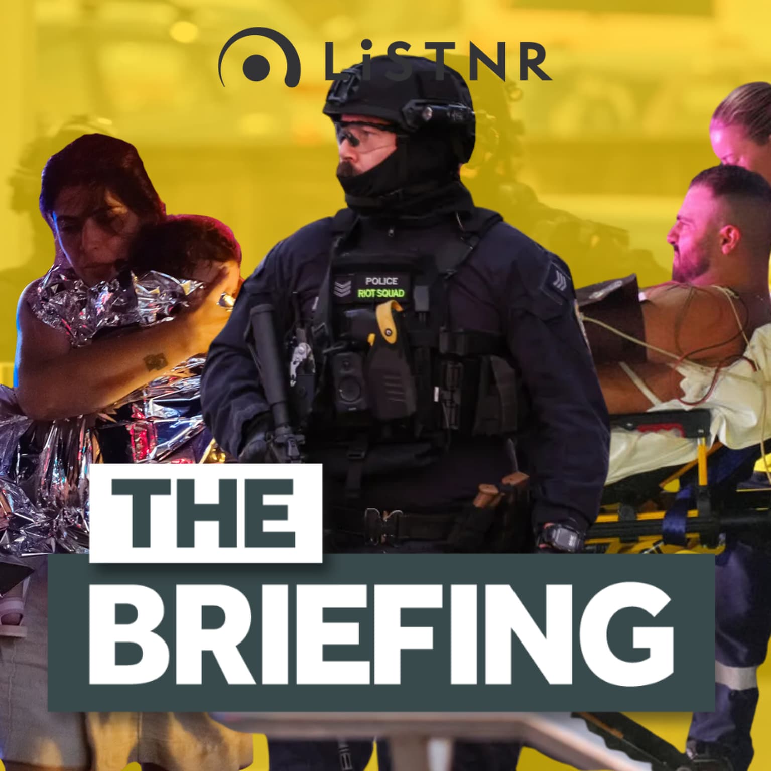 Everything we know about the Bondi terror attack artwork