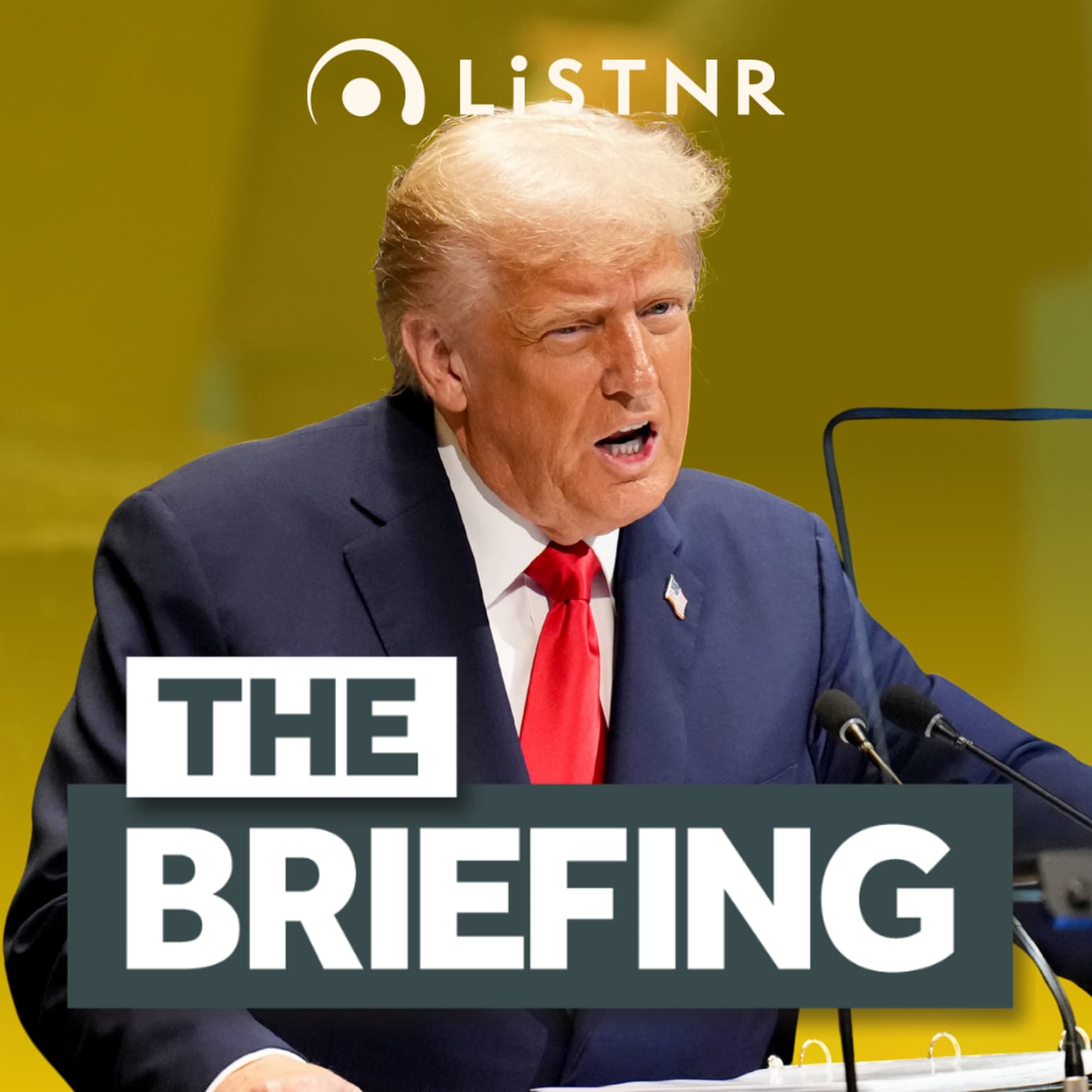 ‘Going to hell’ Trump sprays UN leaders + Higgins v Lehrmann: Part 1 artwork