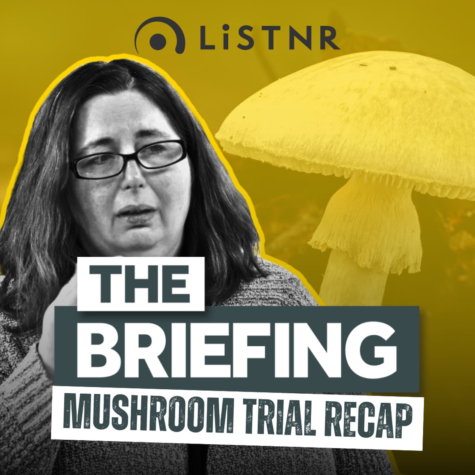 Guilty verdict: Two-minute mushroom trial recap artwork