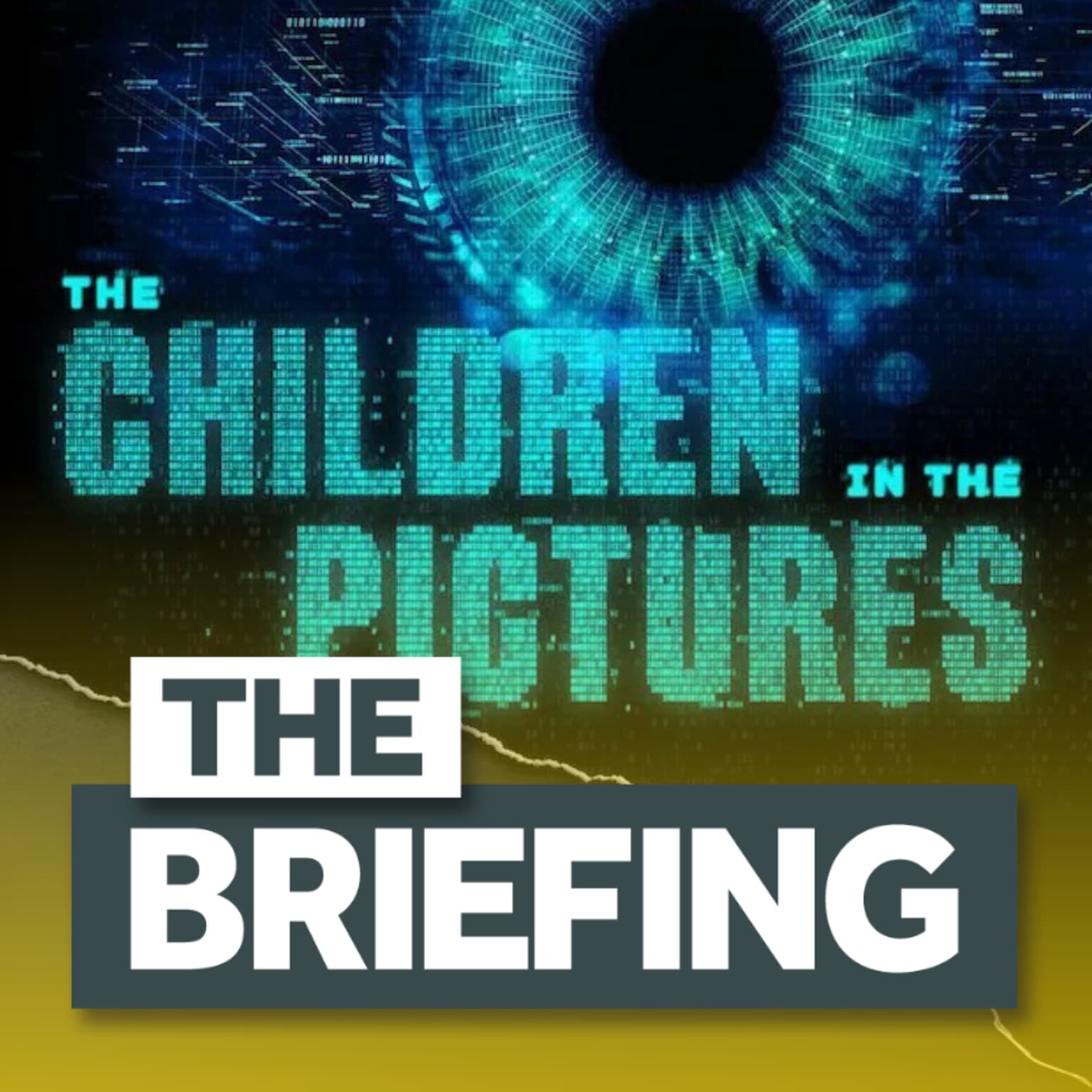 BONUS: What you need to know about child sex abuse predators artwork
