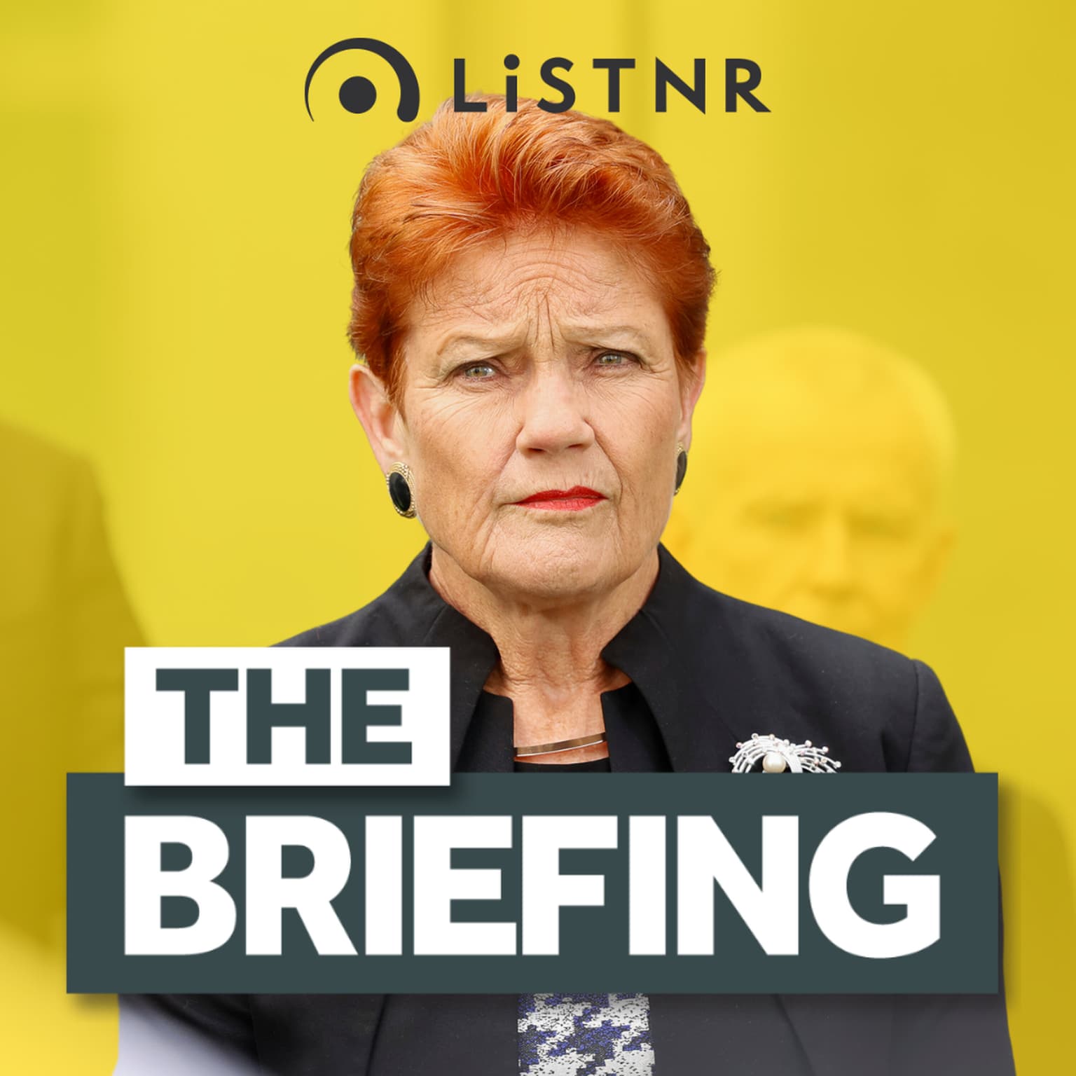 Labor strikes Bondi bill deal + Could Pauline Hanson be our next PM? artwork