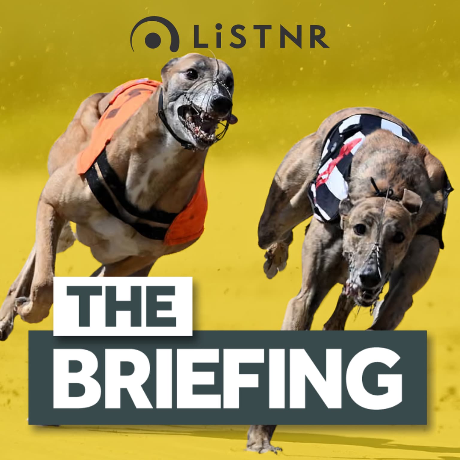 Trump’s ‘game-changing’ Putin deal + PART 1: Why save greyhound racing artwork