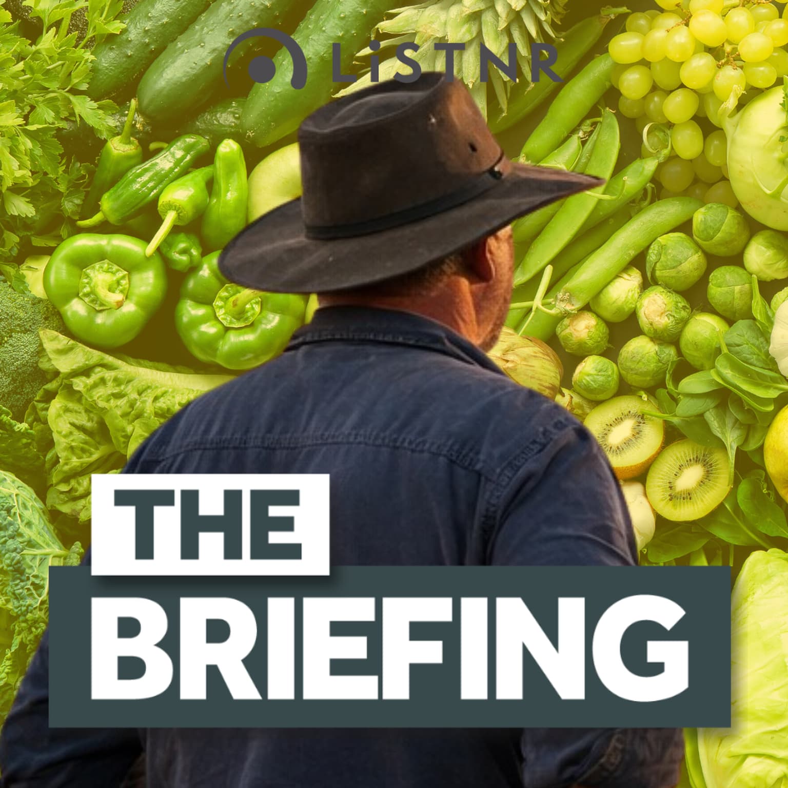 Why food costs are set to soar + Trump teases peace deal artwork