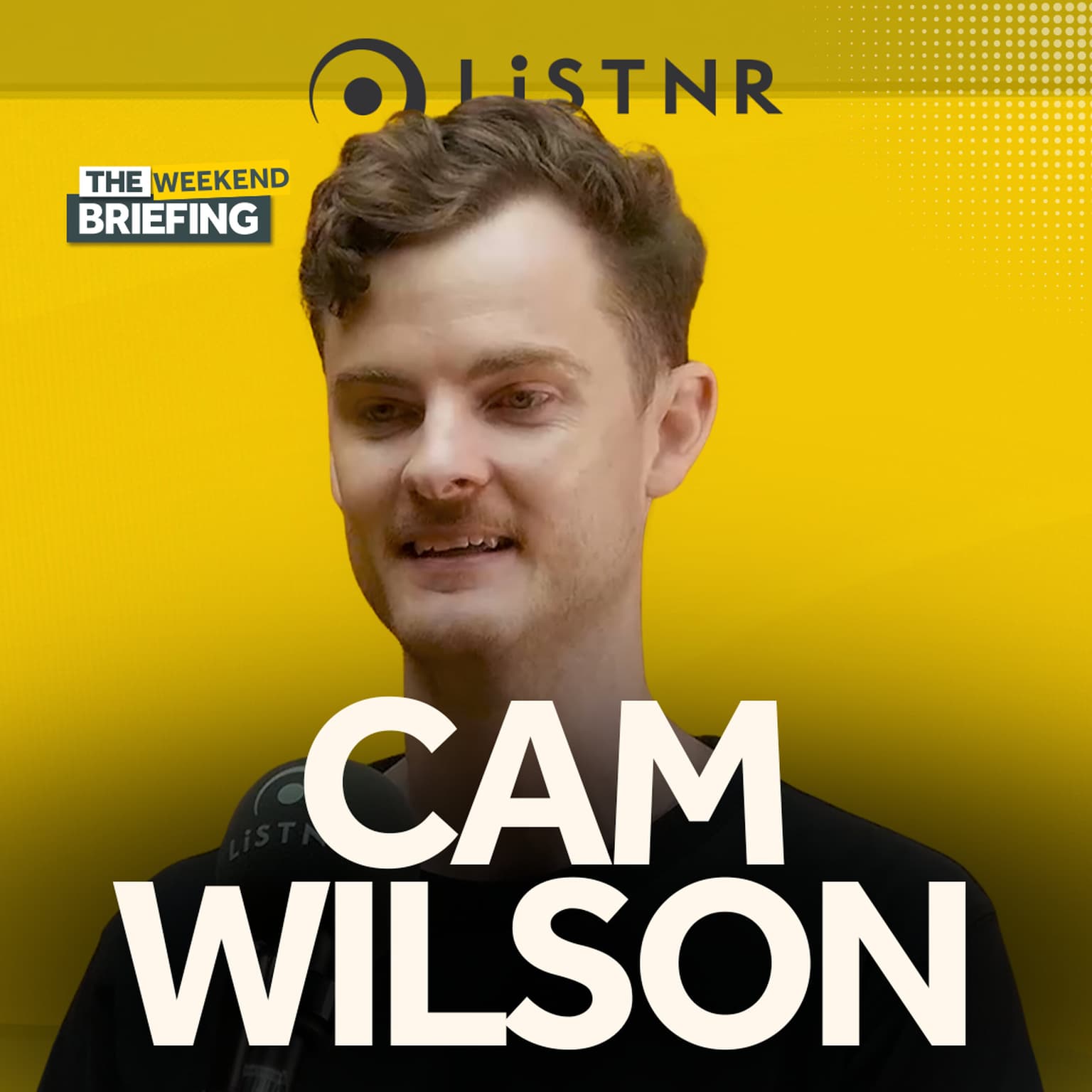Cam Wilson goes inside the mind of a conspiracy theorist artwork