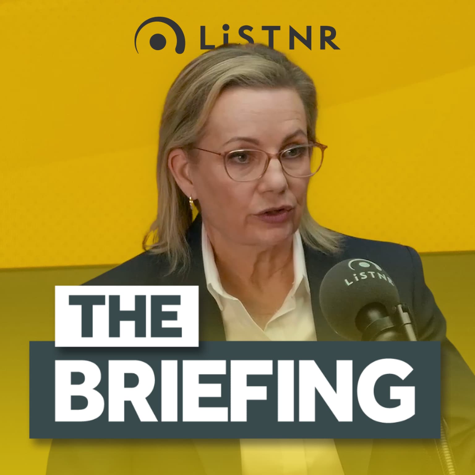 Sussan Ley on net zero & the glass cliff artwork