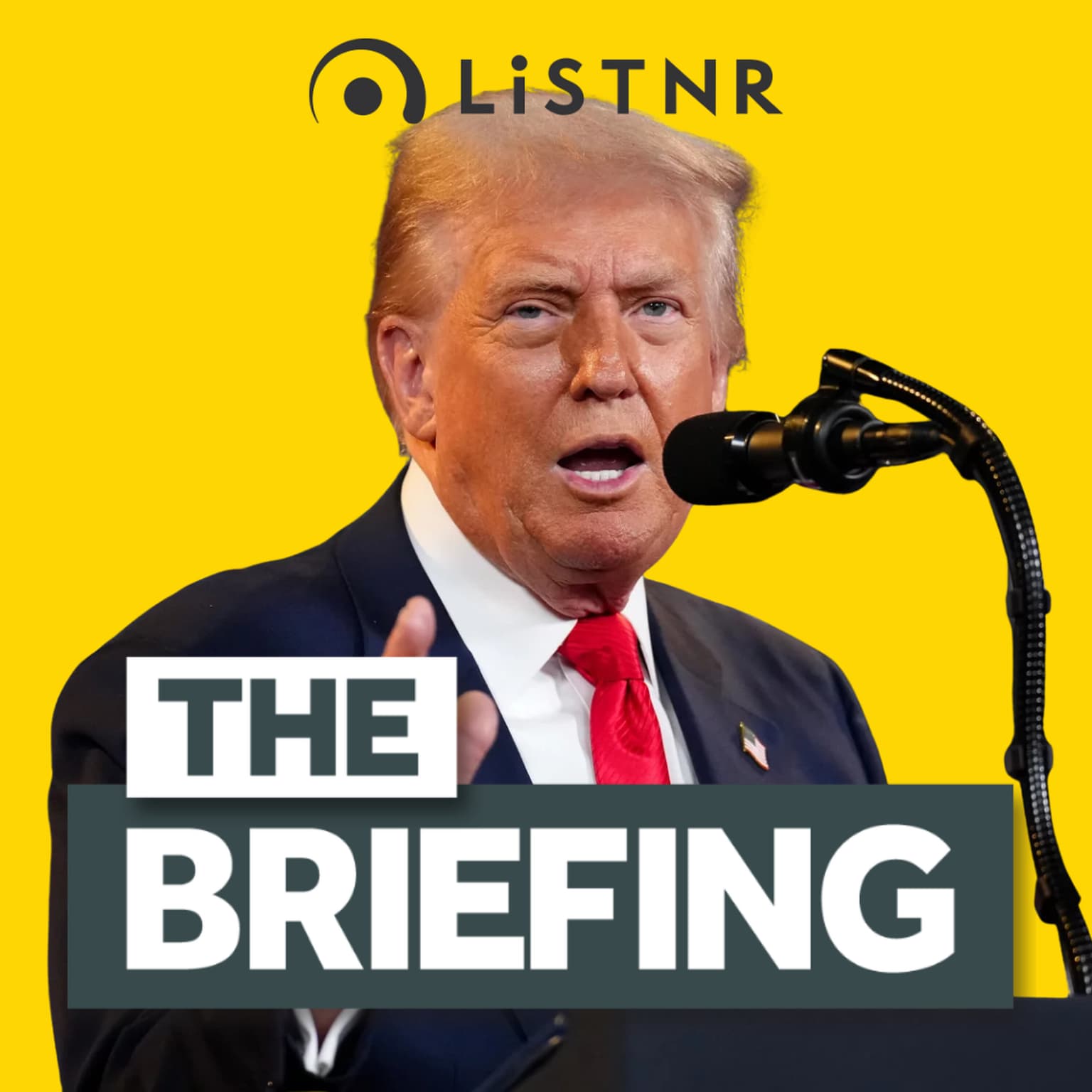 Huge court win for Trump + Why you’re not likely to get married artwork