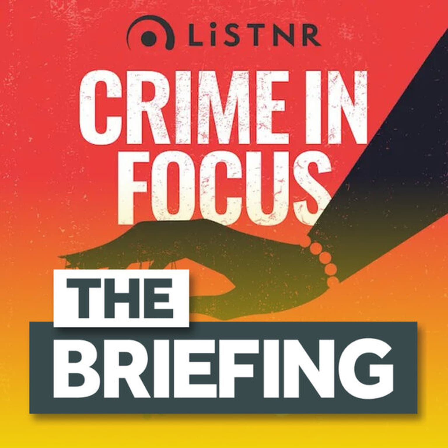 BONUS: Investigating a real-life murder artwork