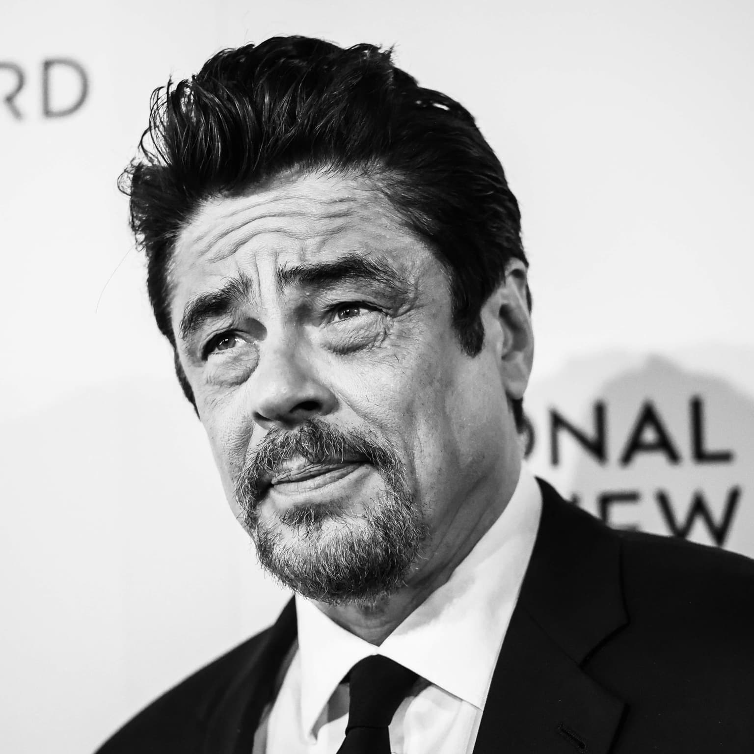 Benicio del Toro artwork