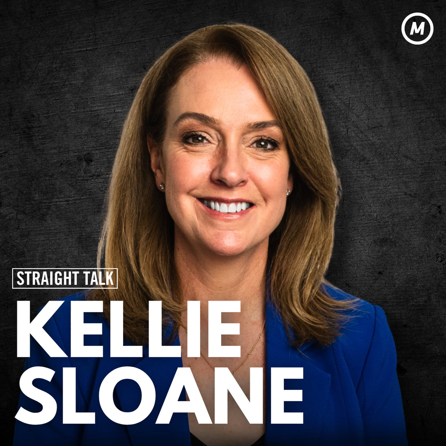 Kellie Sloane: NSW Opposition Leader's Pitch to New South Wales artwork