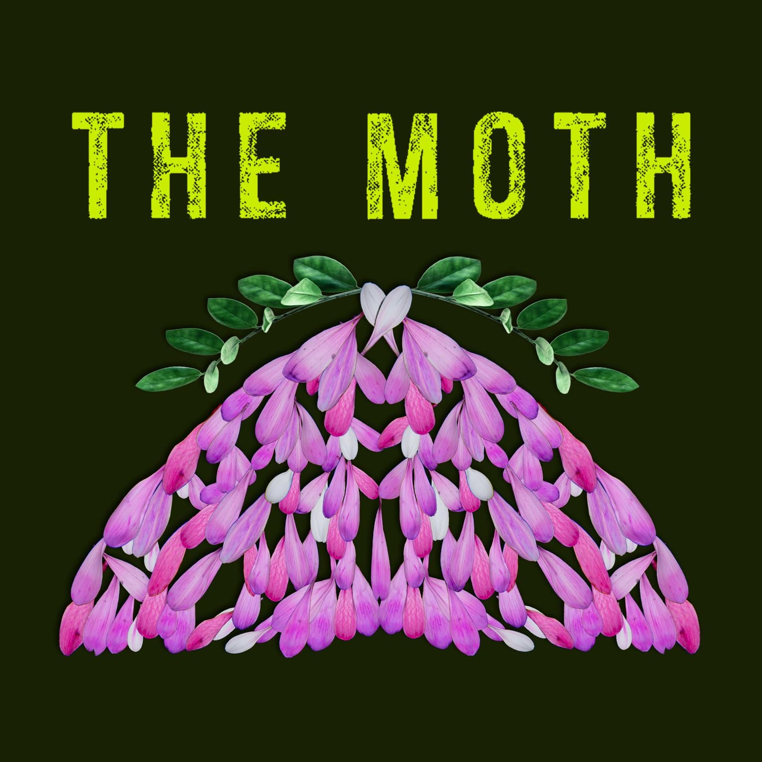 Mothers and Memories with Padma Lakshmi: The Moth Podcast artwork