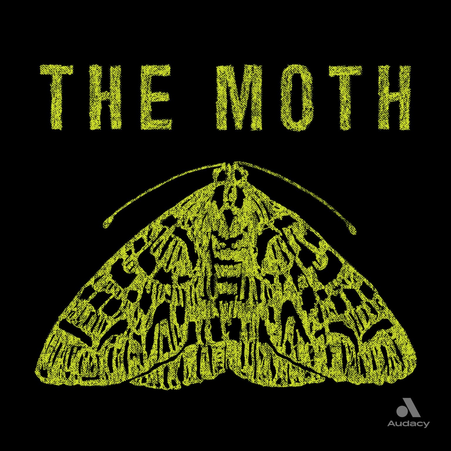 Soundtrack to Your Life: The Moth Radio Hour artwork