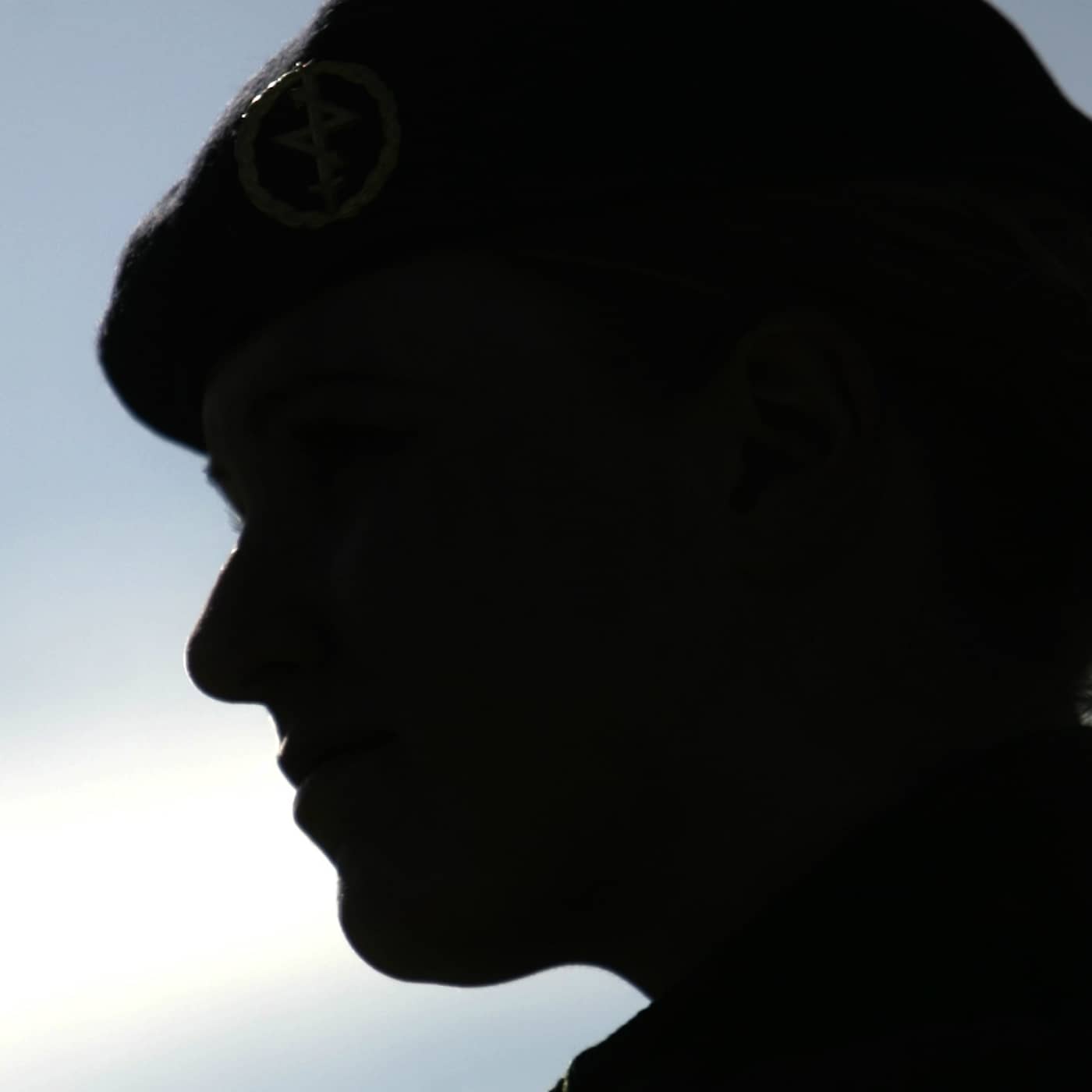Visselblåsaren i försvaret artwork