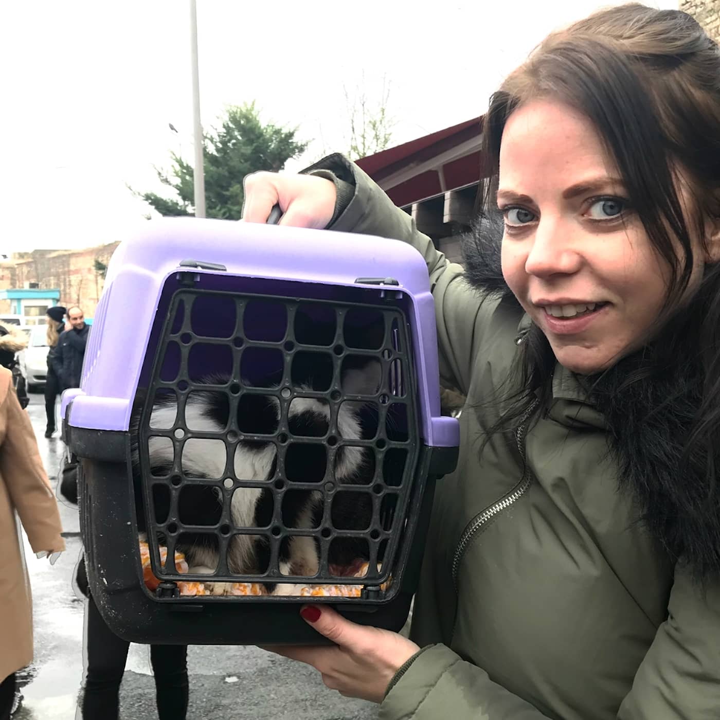 Svenska kattkvinnan i Istanbul – räddat över 100 katter artwork