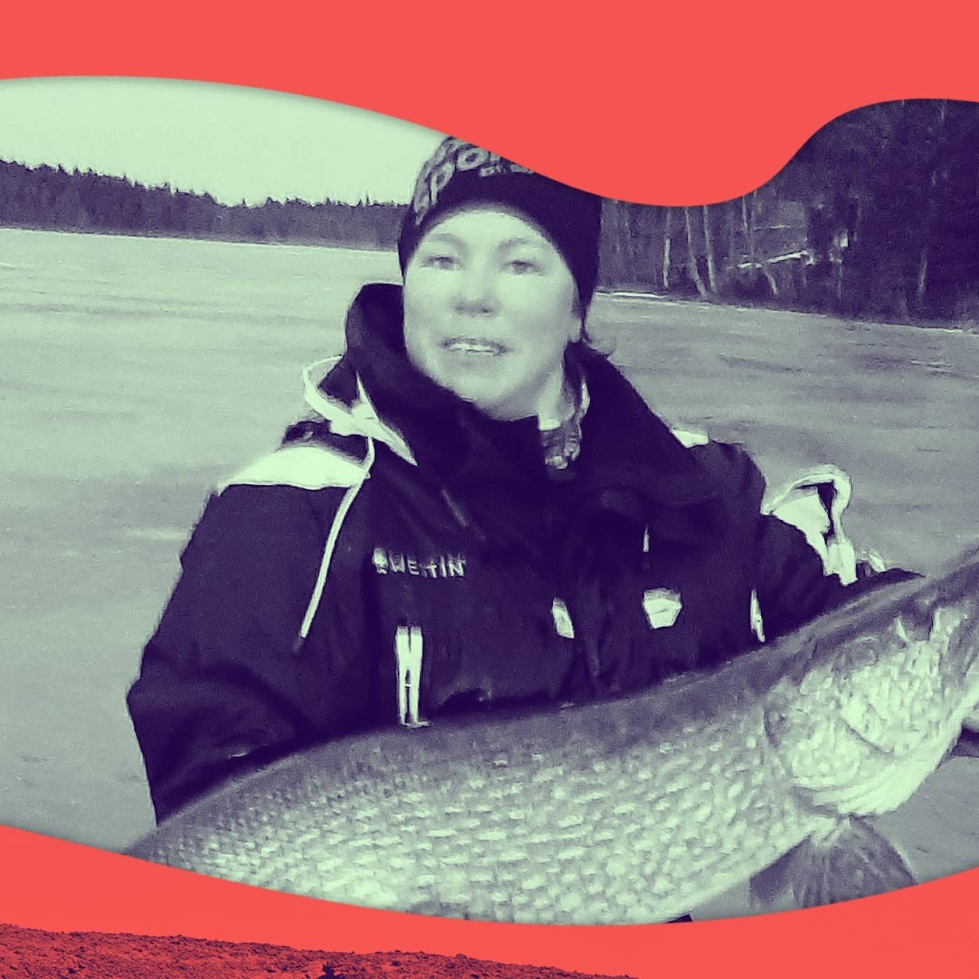Gäddan – mitt fall och min räddning artwork