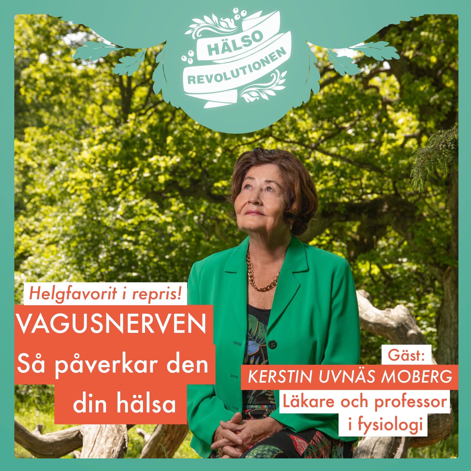 HELGFAVORIT I REPRIS! VAGUSNERVEN – Så kan du stärka kroppens största förbindelselänk och må bättre artwork