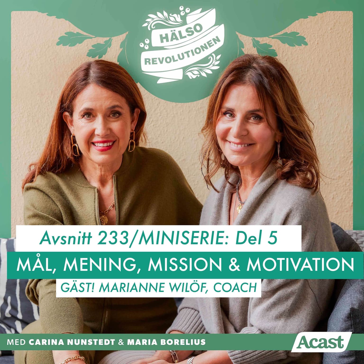 AVSNITT 233/HÖSTBOOST! MINISERIE DEL 5: MÅL, MENING, MISSION OCH MOTIVATION artwork
