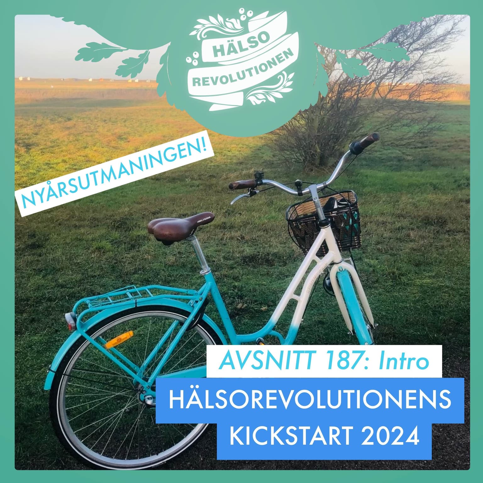 💚AVSNITT 187: NYÅRSUTMANINGEN! INTRO TILL HÄLSOREVOLUTIONENS KICKSTART 2024 artwork