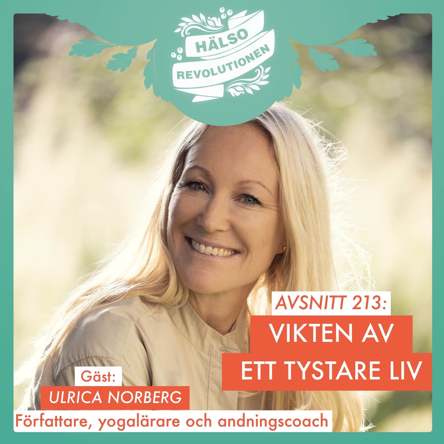 AVSNITT 213: TYSTNAD – HUR KAN VI MINSKA BRUSET? artwork