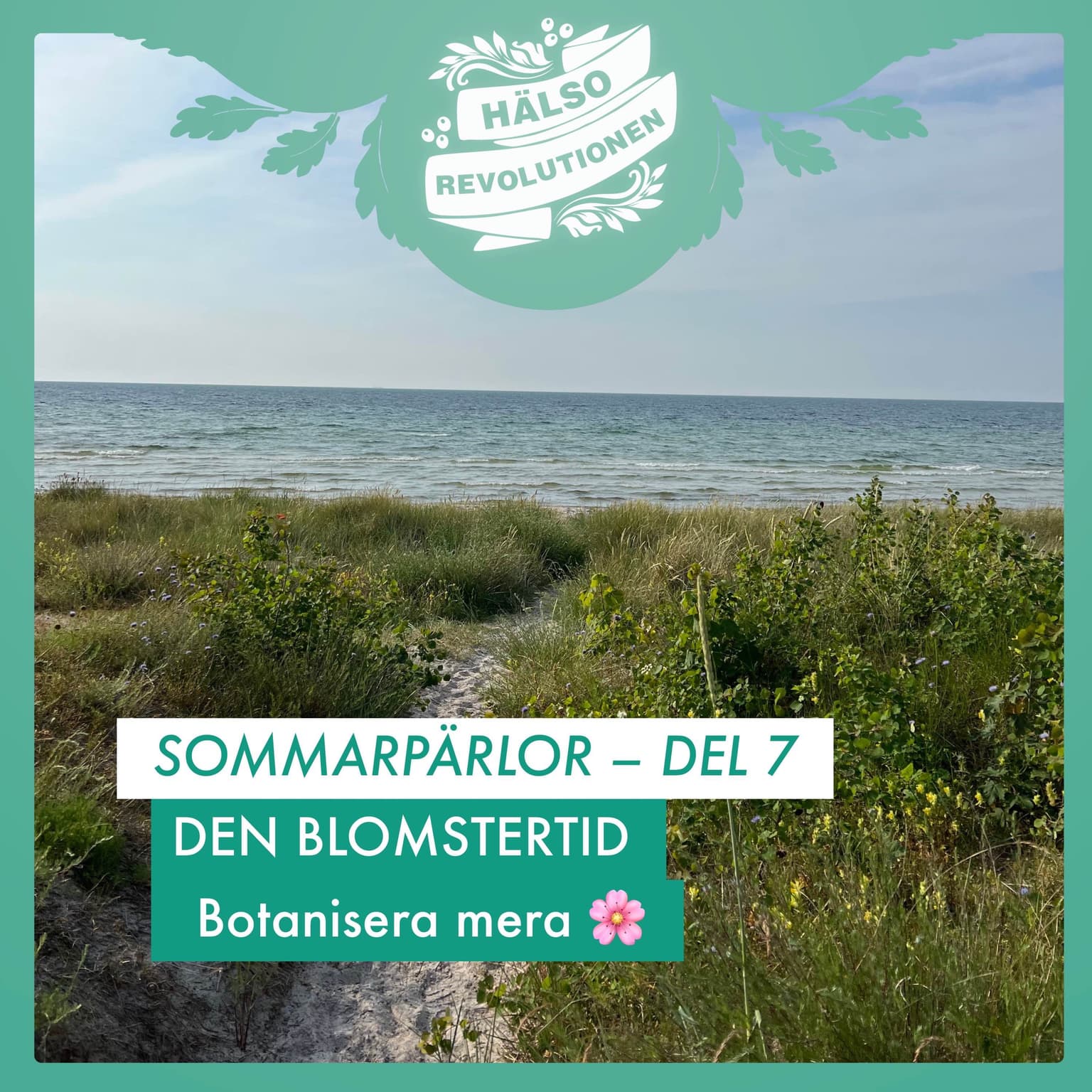 SOMMARPÄRLOR: DEL 7 – DEN BLOMSTERTID 🌸 Botanisera mera! artwork
