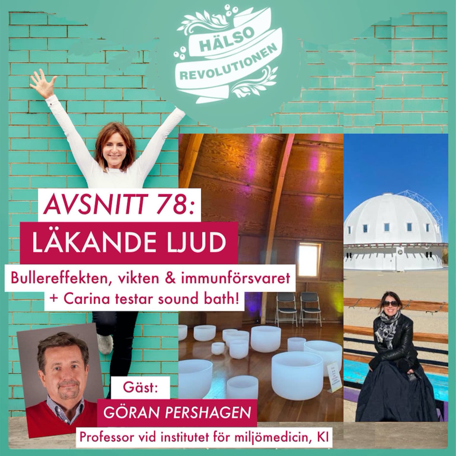 AVSNITT 78: LÄKANDE LJUD – från farligt buller till sound bath artwork