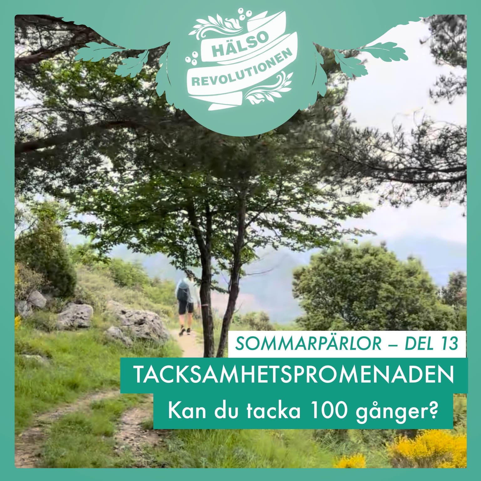 SOMMARPÄRLOR DEL 13: TACKSAMHETSPROMENADEN! KAN DU TACKA 100 GÅNGER? artwork