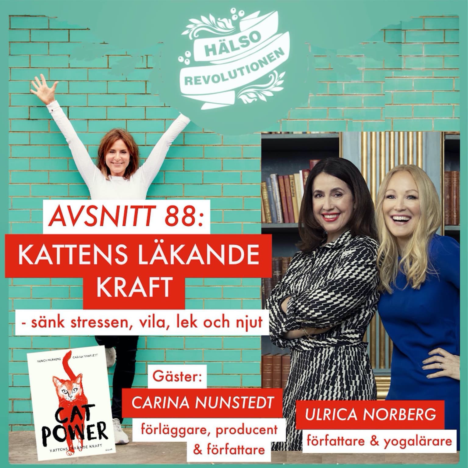 AVSNITT 88: KATTENS LÄKANDE KRAFT – Mer återhämtning, lek och njutning artwork