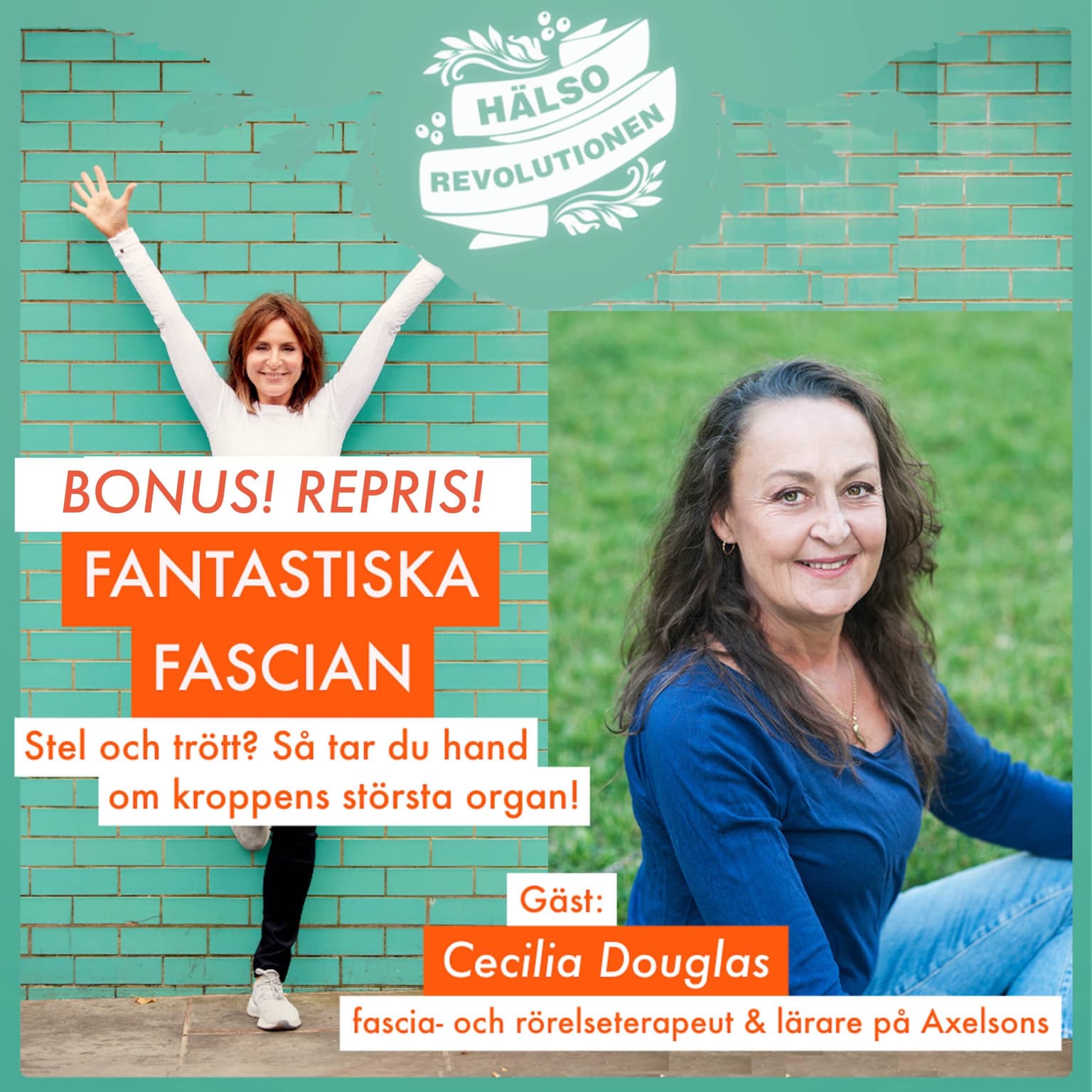BONUS! FAVORIT I REPRIS: FANTASTISKA FASCIAN artwork