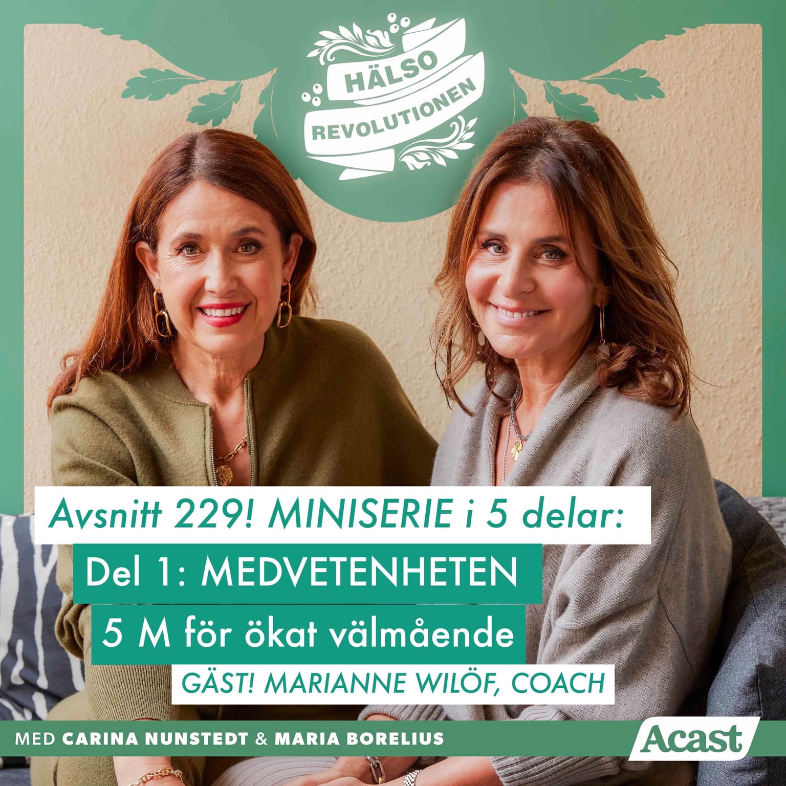 AVSNITT 229/HÖSTBOOST! MINISERIE – DEL 1: MEDVETENHET artwork