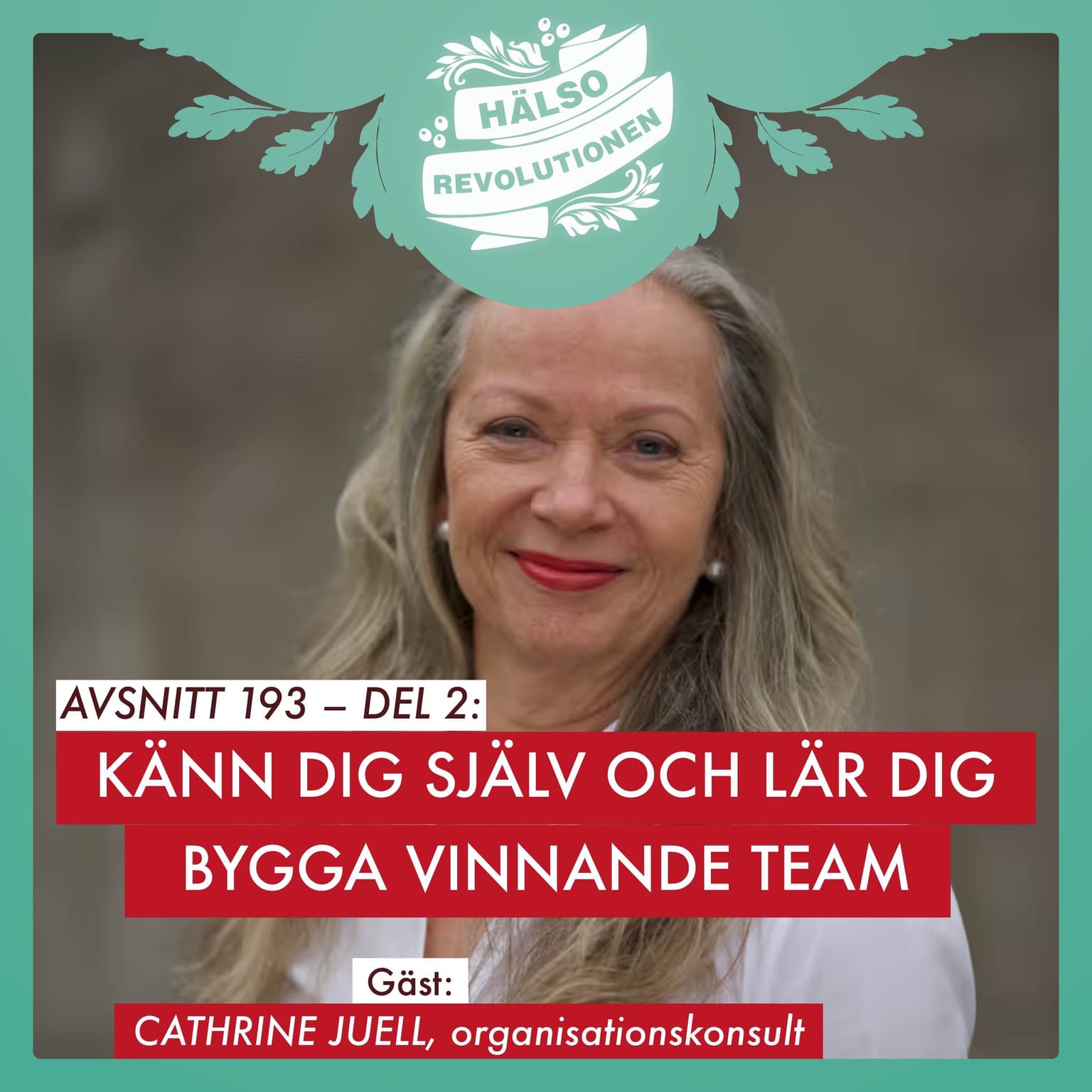 AVSNITT 193 – Del 2: KÄNN DIG SJÄLV OCH LÄR DIG BYGGA VINNANDE TEAM artwork