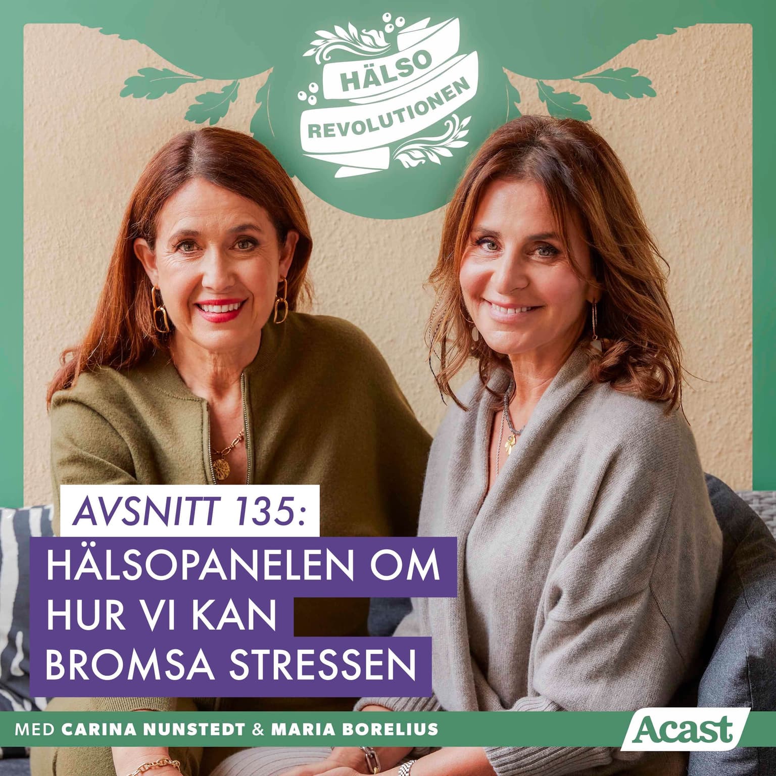 AVSNITT 135: HÄLSOPANELEN OM HUR VI KAN BROMSA STRESSEN artwork