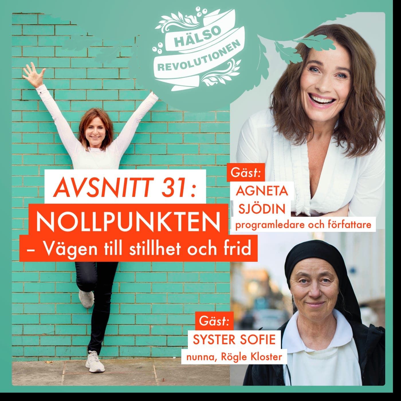 AVSNITT 31: NOLLPUNKTEN – vägen till absolut stillhet och frid? artwork