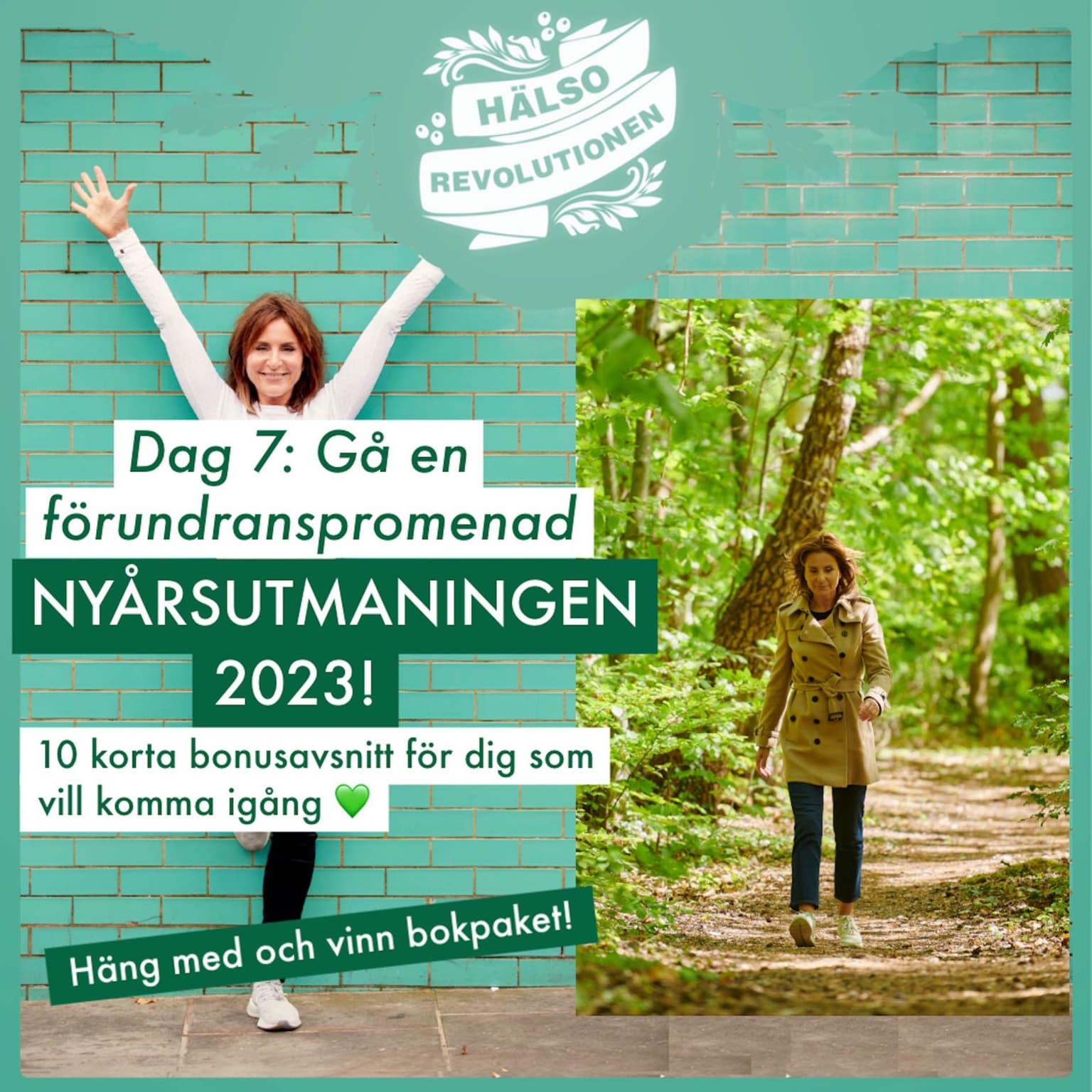 BONUS! NYÅRSUTMANINGEN 2023: DAG 7 – GÅ EN FÖRUNDRANSPROMENAD artwork