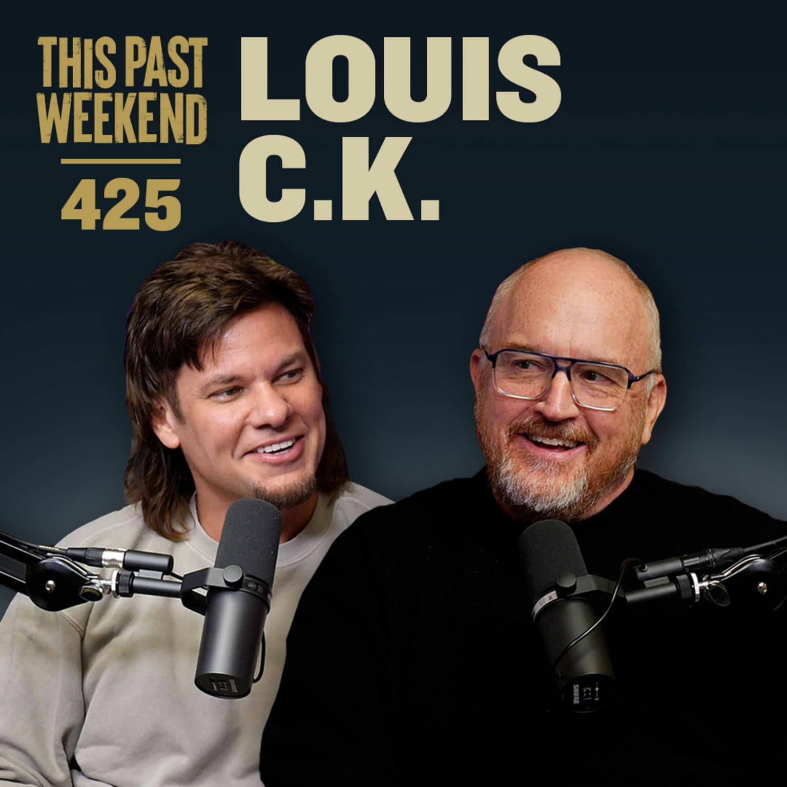 E425 Louis C.K. artwork