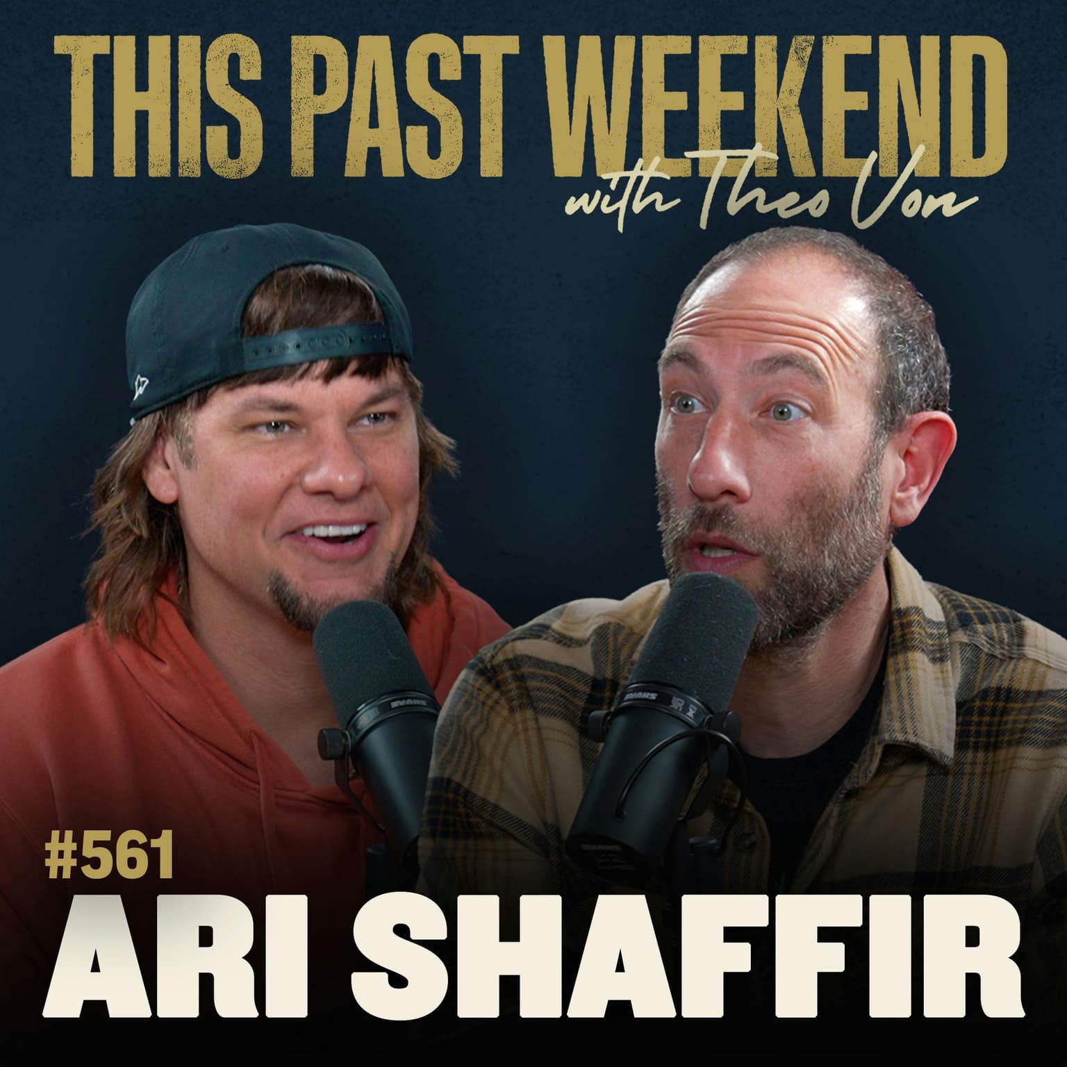 E561 Ari Shaffir artwork