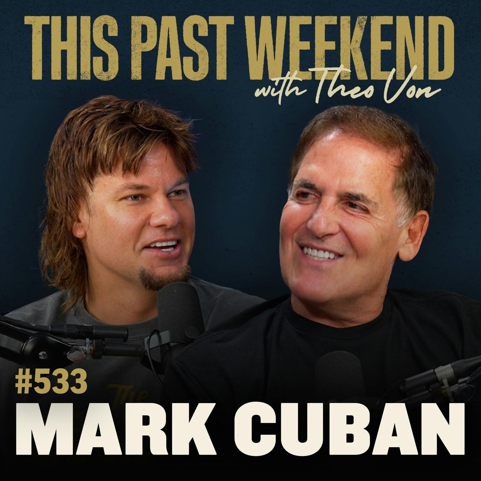 E533 Mark Cuban artwork