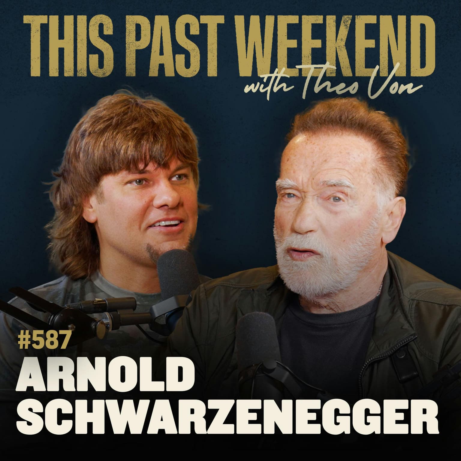 #587 - Arnold Schwarzenegger artwork