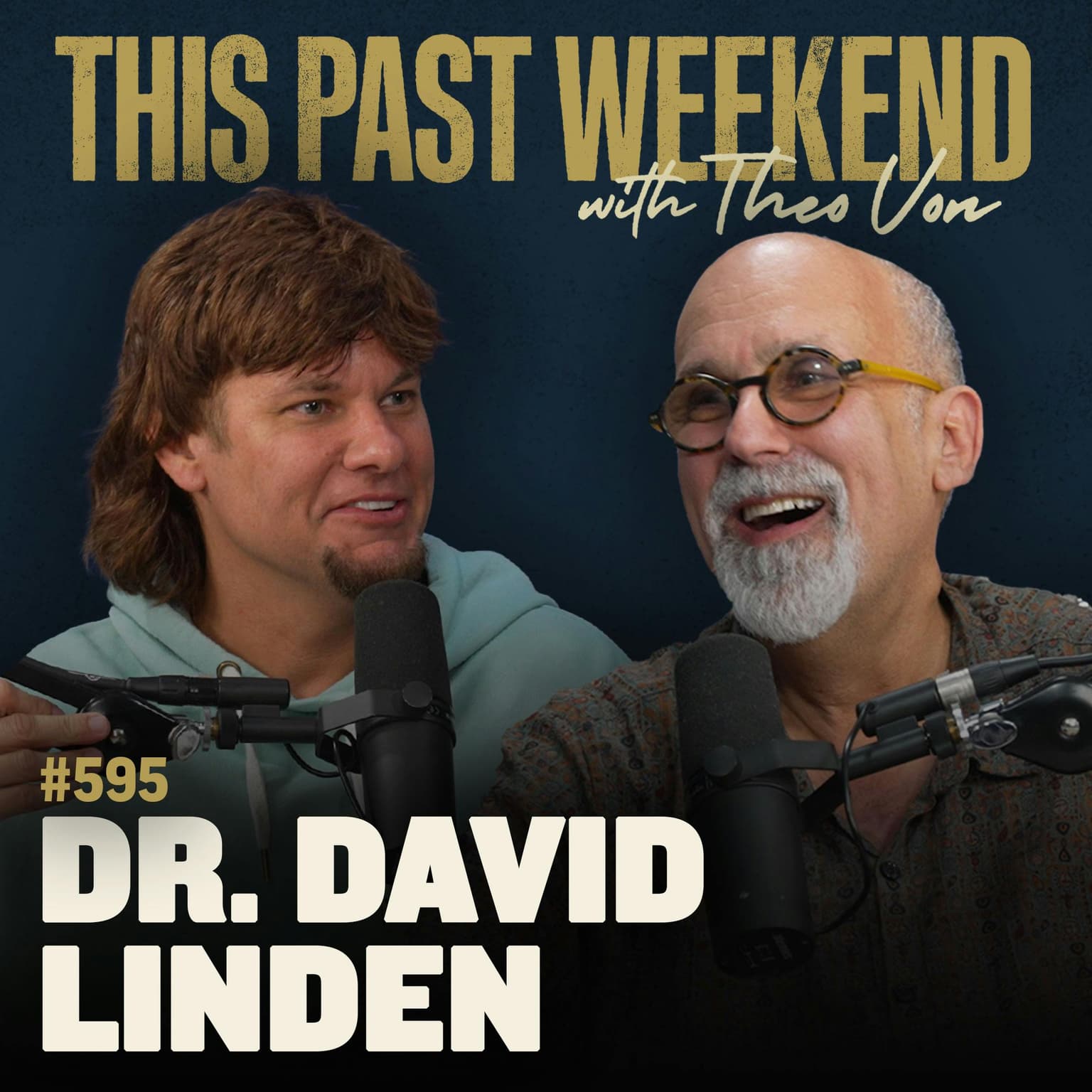 #595 - Dr. David Linden artwork