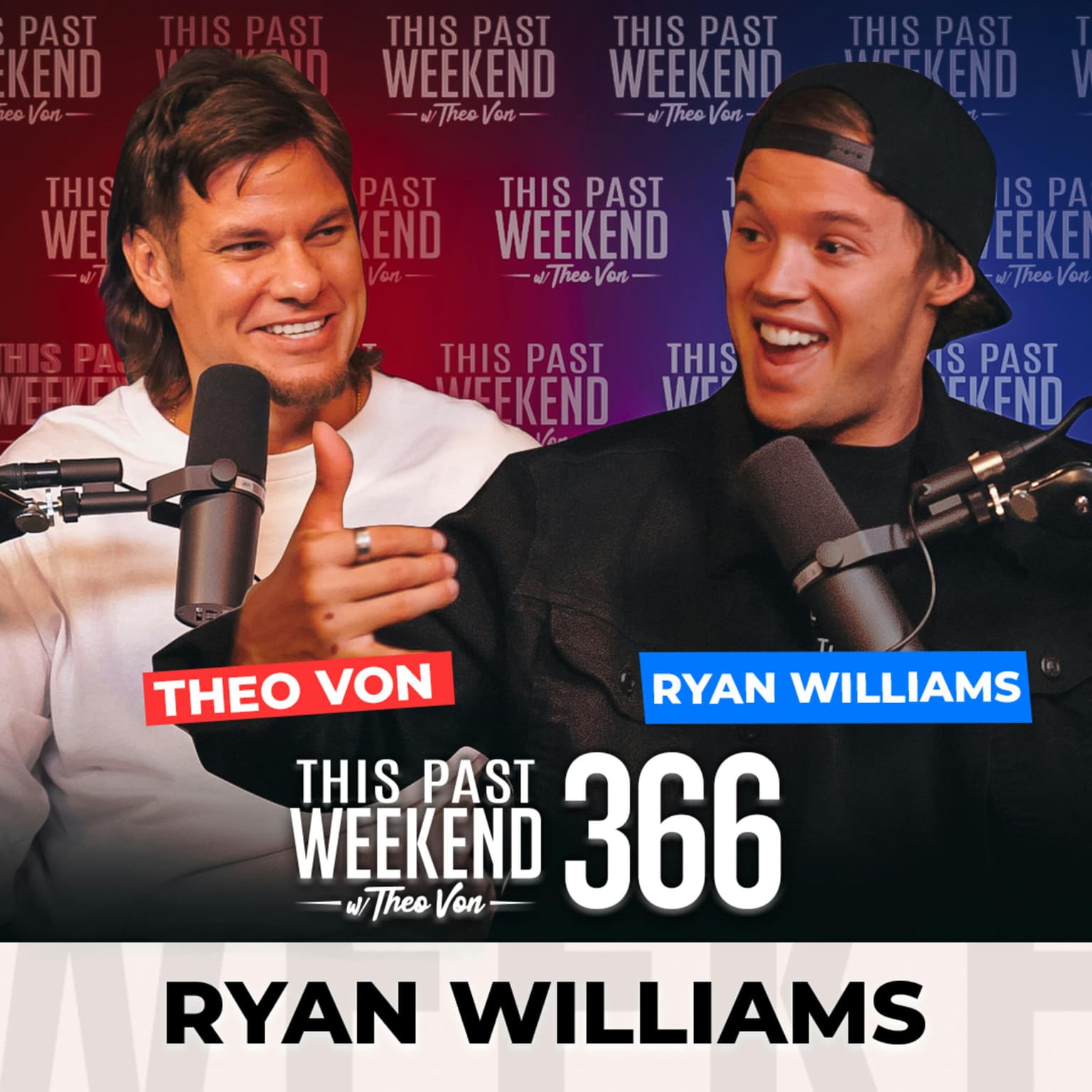 E366 Ryan Williams artwork