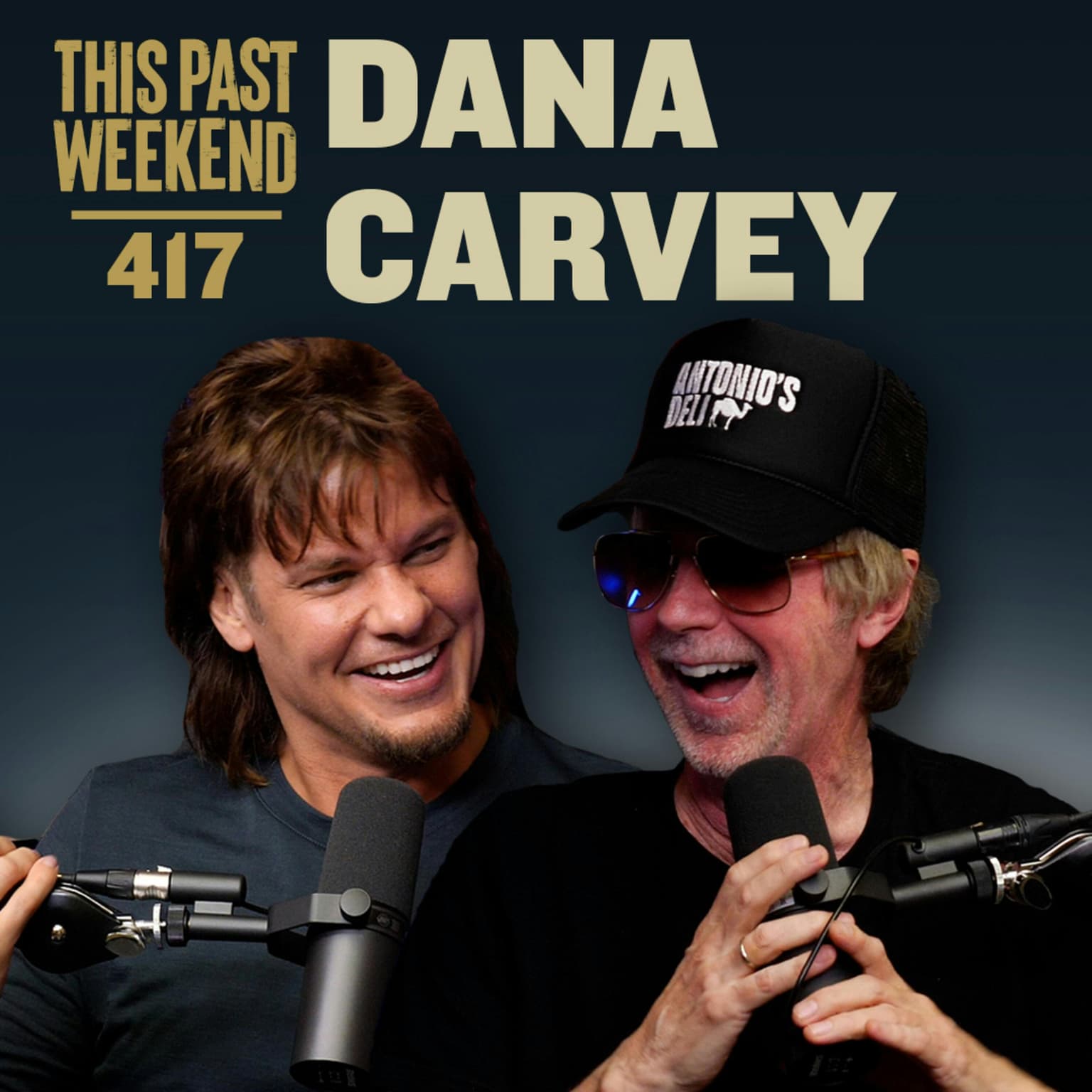 E417 Dana Carvey artwork