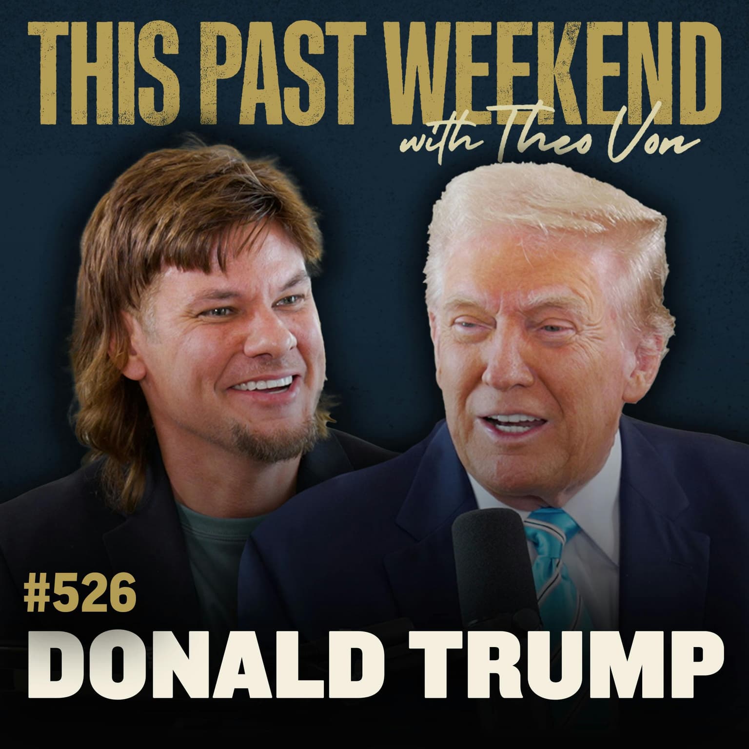 E526 Donald Trump artwork
